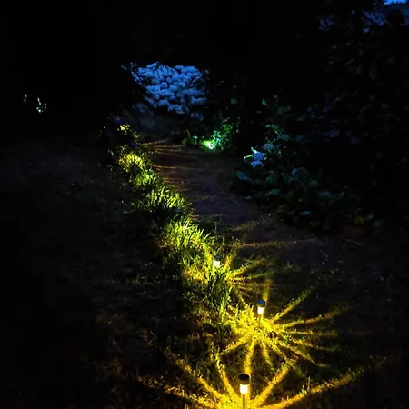 Ocean View Garden Retreat By The Golf Course 샬레 산타 크루즈